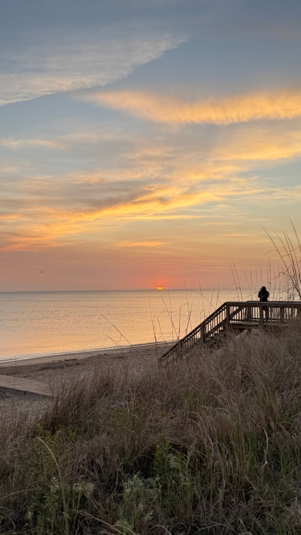 Calm Saturday Moments